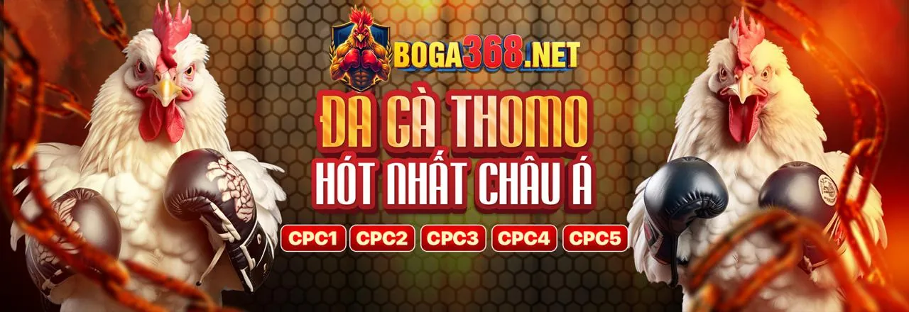 Liên hệ đội ngũ đối tác to888